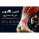آسیب تاندون در بدنسازی؛ علت، علائم، درمان، پیشگیری و تقویت تاندون